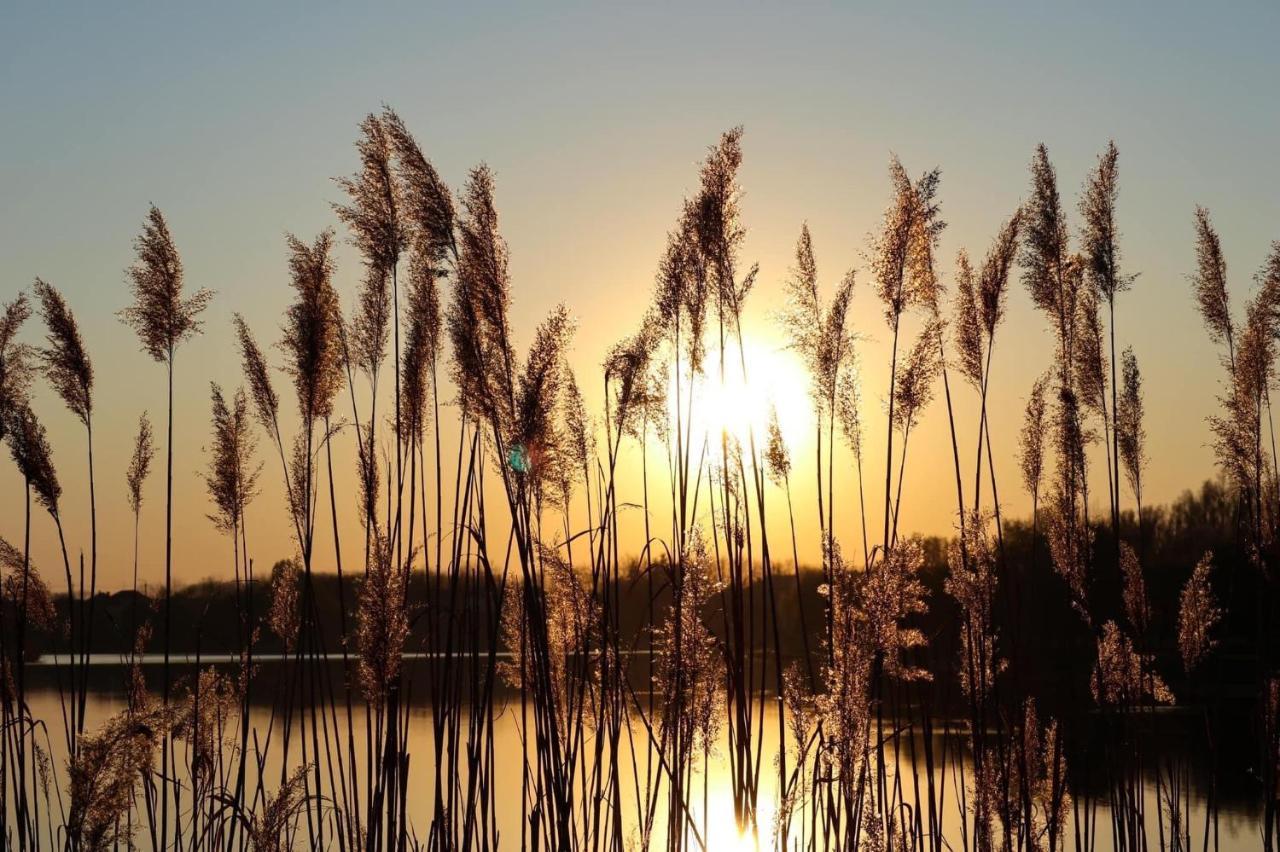 Barack Thermal Hotel And Spa Tiszakecske Bagian luar foto